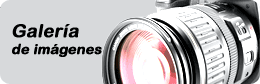 Galeria de fotos